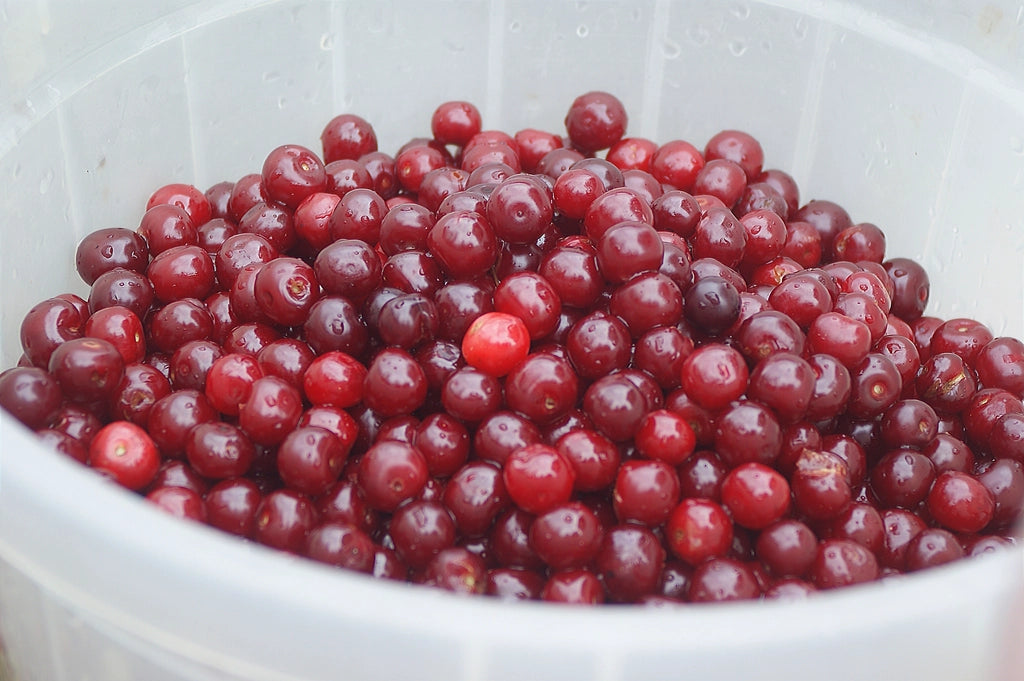 A 7-Day Feminine Wellness Supplement Routine